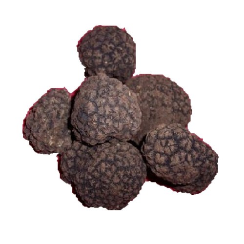 100 trüffel truffel frische - g,