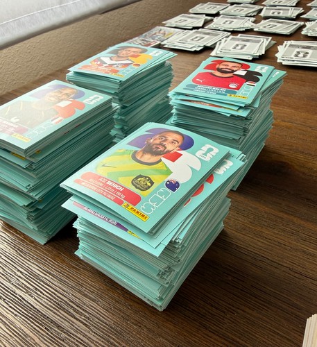 Panini fifa world - panini,